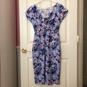 PinkBlush Maternity/Nursing Floral Fitted Dress